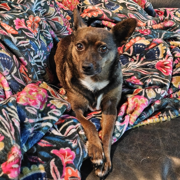 Meet your Posher, Evelyn - Picture 4 of 5